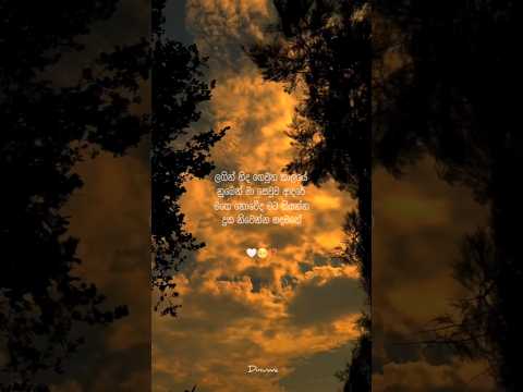 දැනෙනවද රිදෙන තැන් මට වගේ 🙂 | sinhala love status video