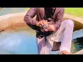 Tubewell Swimming Tubewell Bathing Swimming Tubewell Village Vlog 4 April 2025