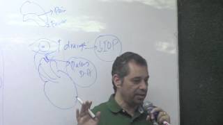 27. Dr. Ahmed Abd El Rahman [Autacoids:Kinins-Eicosanoids-Leukotrienes]