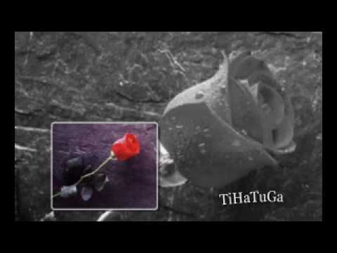 Otvori Majko, Otvori