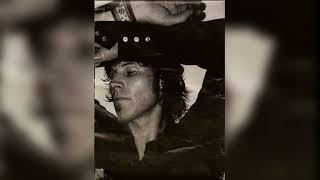 Screaming Trees - Troubled Times (lyrics)