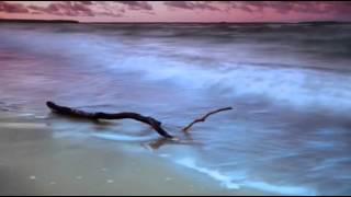 Andrea Bocelli    La Voz del Silencio