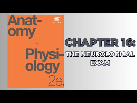 OpenStax Anatomy and Physiology 2e (Audiobook) - Chapter 16: The Neurological Exam
