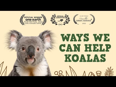 2nd YouTube video about how can i volunteer to help the koalas