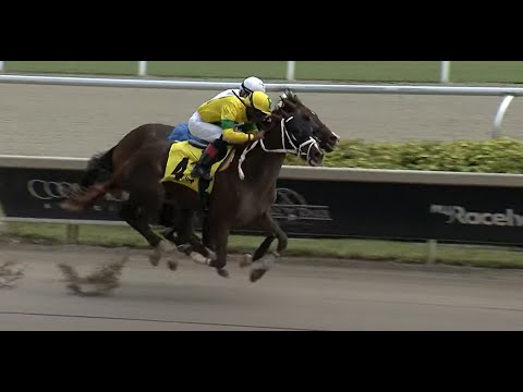 Anthony Thomas Returns A Winner For Rohan Crichton