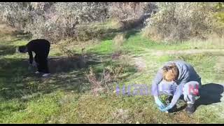 В Николаеве студенты реализовали социальный проект – убрали мусор на косе в районе Намыва (видео)