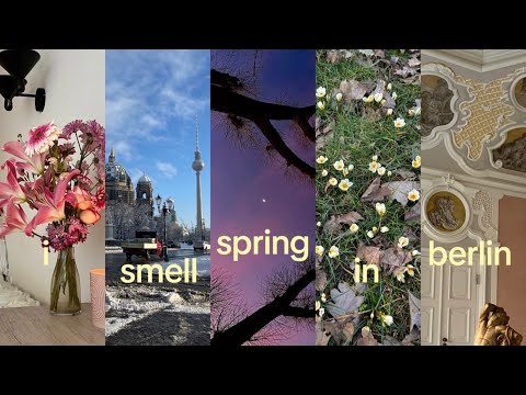 signs of spring in berlin and my little life