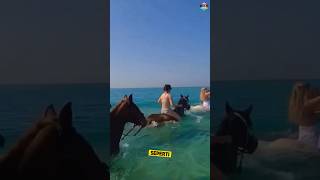 Download lagu This is what it's like to ride a horse in the sea 😱 #uniquefacts #horse #sea #horseridingindonesi... mp3