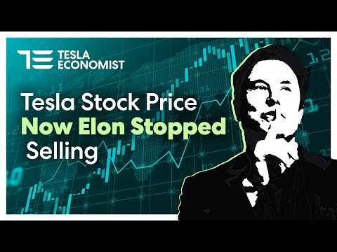 What Will TSLA Stock Price Bounce Back to, Now Elon has Stopped Selling his Tesla Shares?