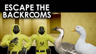 異空間に迷い込んだ2人と2羽の物語…　Escape the Backrooms Part1