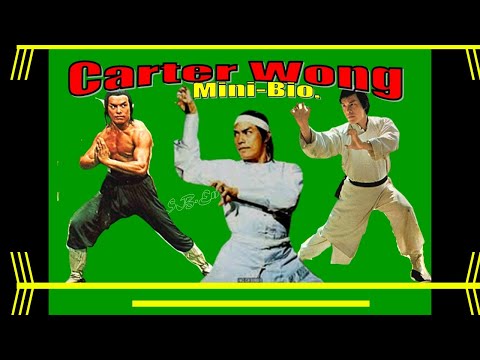 He is a GRANDMASTER of many different FIGHTING Systems!....Carter Wong BIO