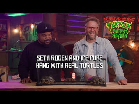 Seth Rogen and Ice Cube hang with Real Turtles