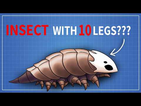 Applying Biology To Silksong Drove Me Insane.