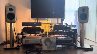 jennifer warnes - the well