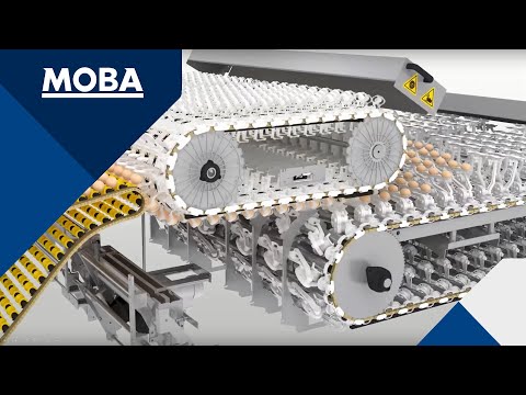 Moba Omnia PX Animation