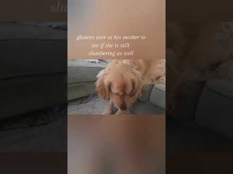 A short story about Naji part 1