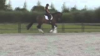 Video von Buriel K.h.