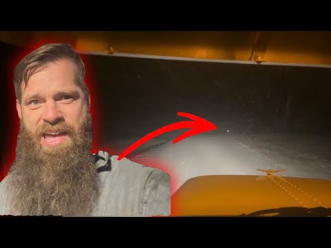 Eine schöne Kuhladung, aber es gibt einen Haken…