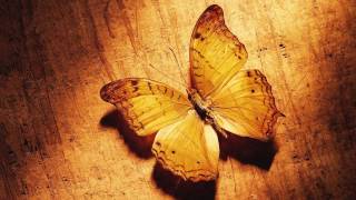 Dream Traveler - Time (Original Mix)