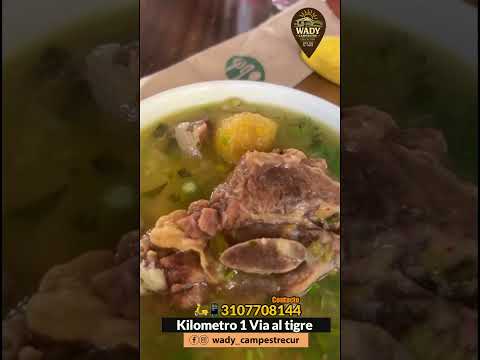 wady campestre curumani cesar