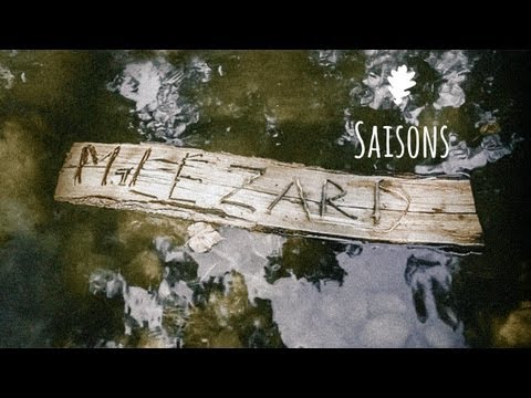 Monsieur Lezard-Saisons HD