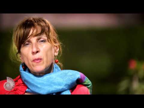 Interview   Mihaela Vosganian             Heritage & Modernaity - Cairo- 2016