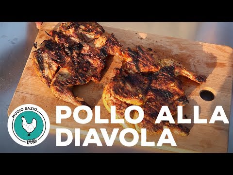 download lagu mp3 mp4 Pollo Alla Diavola Recipe, download lagu Pollo Alla Diavola Recipe gratis, unduh video klip Pollo Alla Diavola Recipe