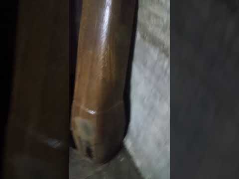 РАФ 2203-02 задний угол