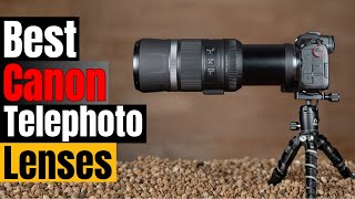 Best Canon Telephoto Lenses in 2026 – Wildlife, Sports, and More!