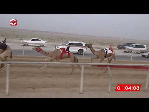  ش 9 (الشاهينيه) لـ سالم بن دري الفلاحي 3:01 ، شارة الصندوق 2026/08/01 فطامين سويحان