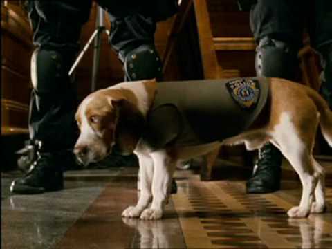 u n d e r d o g  1 / 9