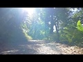 Nature Whatsapp Status Video Hiking The Rough Forest Jungle Ride 2018
