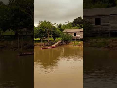 Comunidade Tintateu, Reserva Extrativista do Rio Cajari, município de Vitória do Jari-Ap