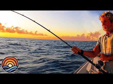 BATTLES with GIANT TUNA! Drifting Ep. 47