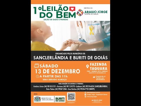 1º LEILÃO DO BEM  ARAÚJO JORGE - SANCRERLÂNDIA E BURITI DE GOIAS  - GO 13/12/2025