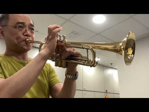 Elkhart 100TR Trumpet #AD18715026