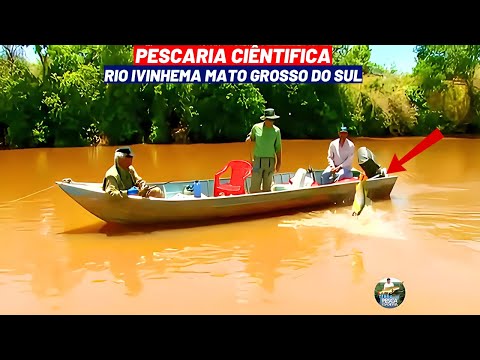MISSÃO DE PESCA DIFERENTE NO RIO IVINHEMA (MS), CAPTURARAMOS PEIXES PARA UMA PESQUISA