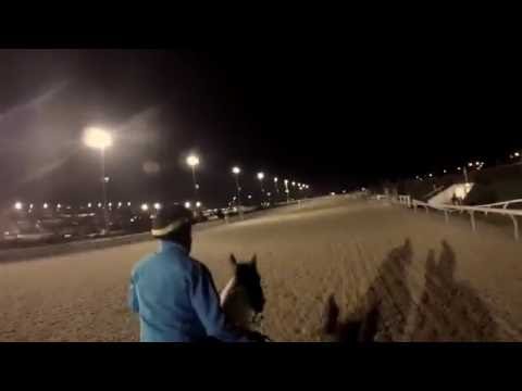 #WoMile | Tepin Trains Friday, September 16, 2016