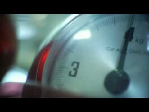 Rita Redshoes - Jungle 81 (David Fonseca's Curta Metragem)