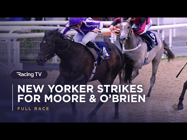 Thumbnail for Post ID: WLkc1pB1Kdo