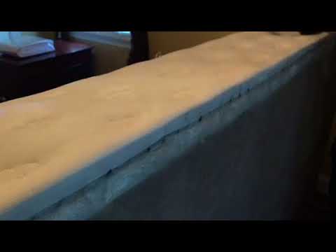 Carpet Beetles Found During BedBug Inspection in Old Bridge, NJ