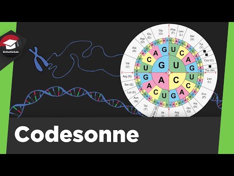 Code sun simply explained - Reading the code sun - Example - DNA and mRNA explained using the cod...
