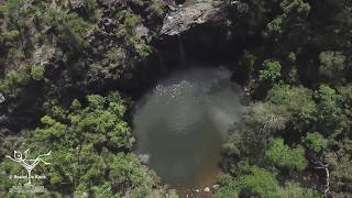 preview picture of video 'Cedar Creek Falls close to Airlie Beach, Queensland, Australia.'