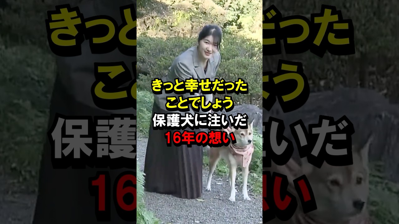 敬宮殿下が保護権に注いだ16年の想い #愛子さま #皇室 #shorts