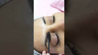Healed Microblading Eyebrows after 1 session by El Truchan @ Perfect Definition