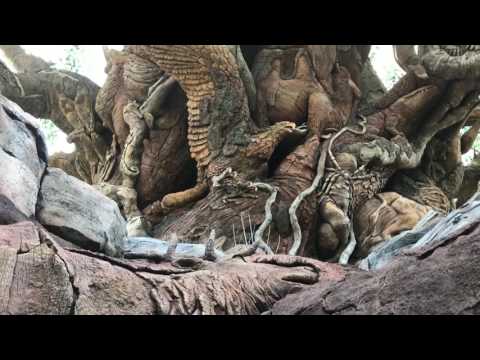 Tree of life Waterfall tour Animal Kingdom Walt Disney World