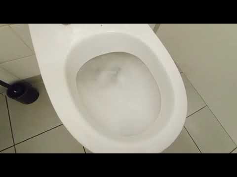 HUNGARY TOILET family room