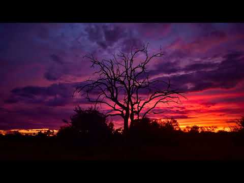 Spring Liquid Drum and Bass Mix #1