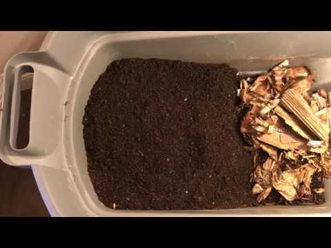 Horizontal migration harvesting method for the African Night Crawler bin.