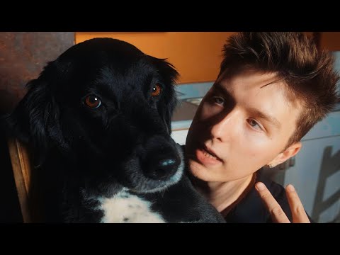 Isaac App - RAGNAROK (Official Video)